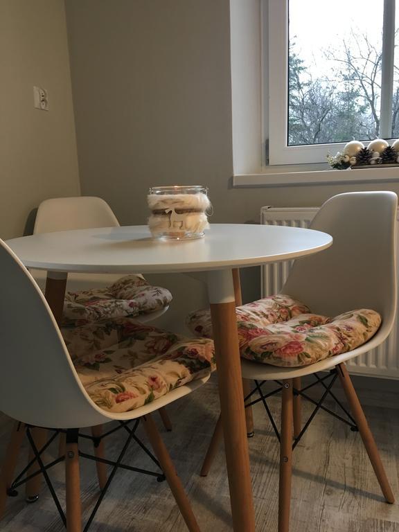 דירות Lądek-Zdrój Apartament Halina מראה חיצוני תמונה